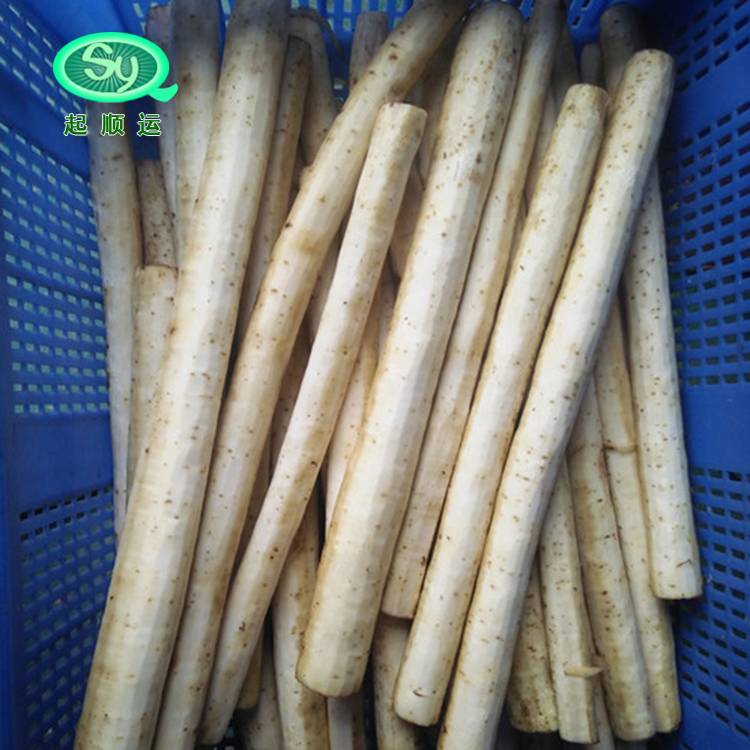 1513673799395550.jpg 1513673799395550.jpg