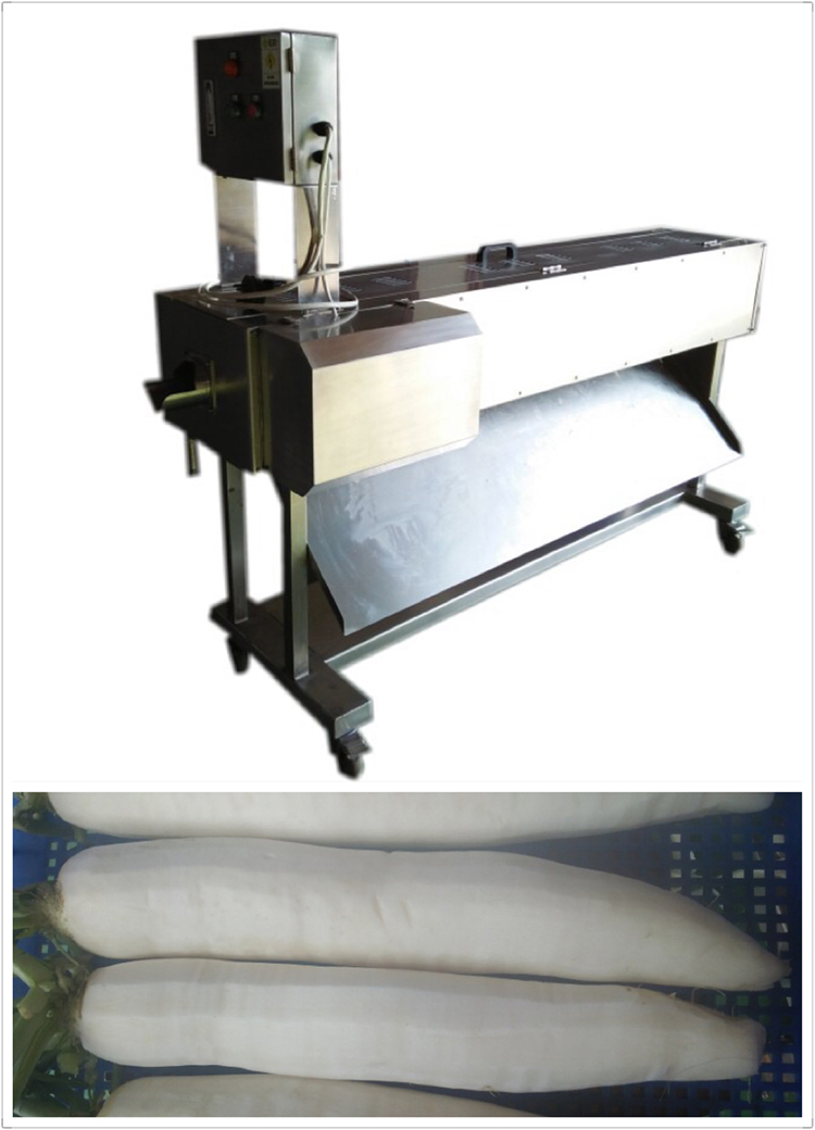 白萝卜去皮机 白萝卜去皮机