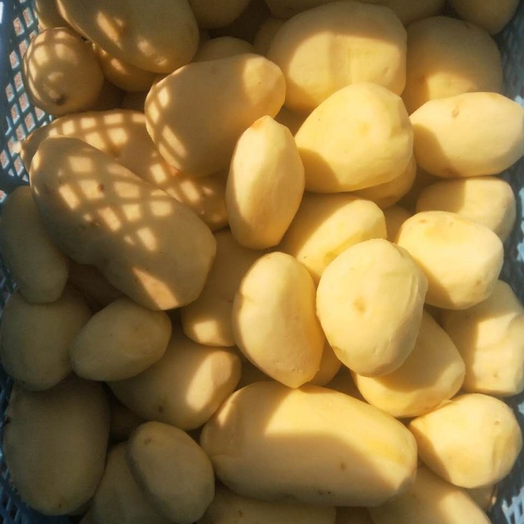 土豆去皮机 土豆去皮机