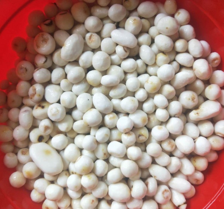 芋头去皮机 芋头去皮机