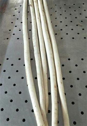 牛蒡去皮机 牛蒡去皮机