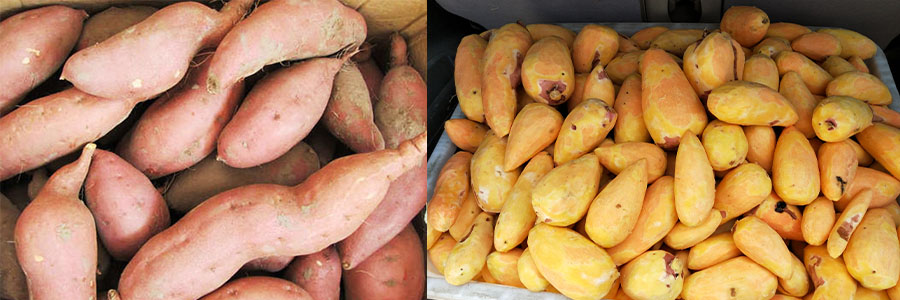 螺旋去皮机 螺旋去皮机