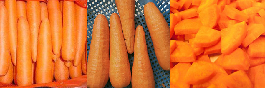 胡萝卜切片、分半一体机 胡萝卜切片、分半一体机