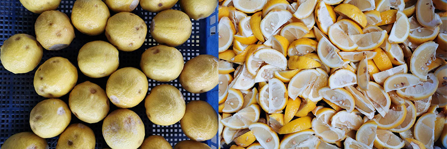 柠檬8分切 柠檬8分切